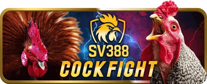 Phương thức gửi tiền nhanh chóng tại dkbet8 win