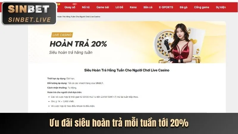 Chương Trình VIP dkbet8 win